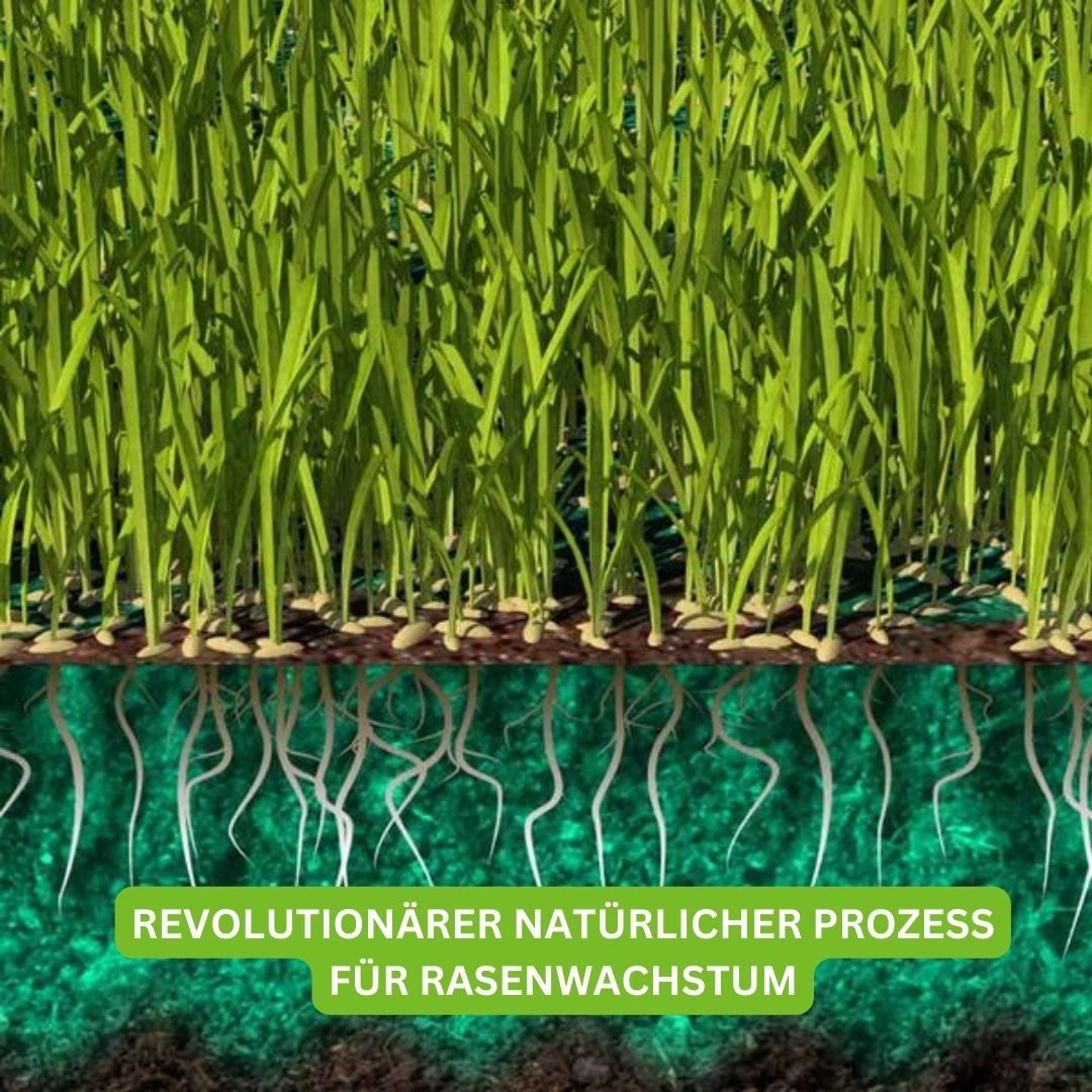 Turbogras - für gesundes und schnell wachsendes Gras inklusive kostenloses eBook für nachhaltige Gartenpflege